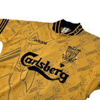 1994/96 - Liverpool - Third (M)