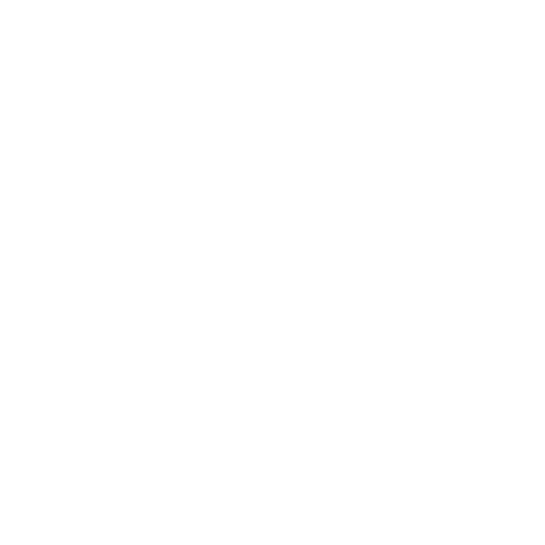 Vintage Historic Sports